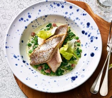 201705 forellenfilets mit kopfsalat speck gemuese